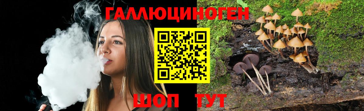 Галлюциногенные грибы Psilocybine cubensis  Псилоцибиновые грибы прущие грибы  Вход с VPN  закладка  Орск 